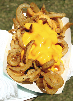 foody-goody:  Cheesy Curly Fries