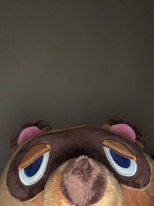 I Forgot To Make This Post Earlier But- TOM NOOK ARRIVED!! Im So Fucking In Love With This Plush