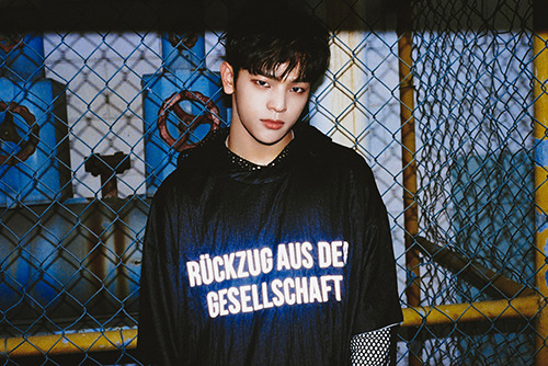 Fy Stray Kids Kim Woojin Former