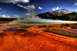 odditiesoflife:  Grand Prismatic Spring Located in Yellowstone National Park, Wyoming, the Grand Prismatic Spring is the largest natural hot spring found in the US. The spring has a scalding temperature of 160 °F (70 °C), a total depth of 160 feet