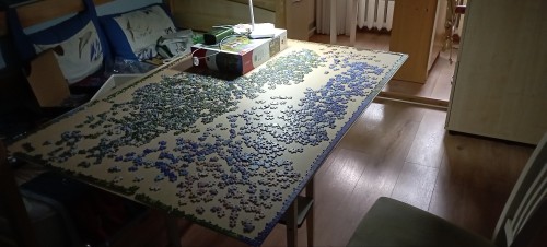 Finished The Preliminary Sort, The Border And Sorted Through Partial And Complete Sky Pieces Before Remembering