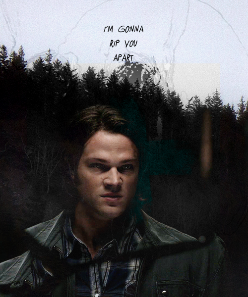 avawilson:SUPERNATURAL GRAPHICS CHALLENGE | Season 5↳ DAY 1: Sam Winchester Moment (5.22 Swan Song)S