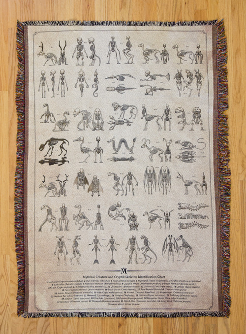 Our popular  &quot;Mythical Creature and Cryptid Skeleton Identification Chart&quot; is