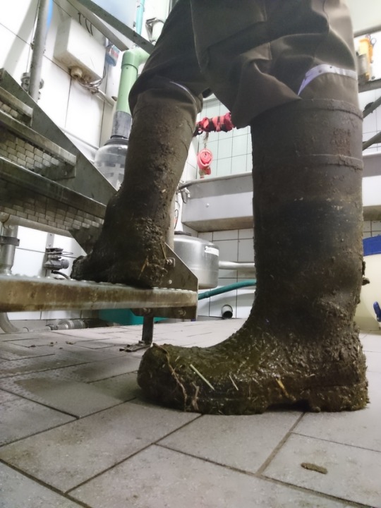 flecksau97:gummistiefelking: Moin moin grüße aus dem Kuhstall 🐮 🧦 🐄 🐃 🐂 🐮 🌾 wer mag auch Gummistiefel Kuhstall schweißsocken 🧦??     Die Frage ist eher wer mag sowas nicht 