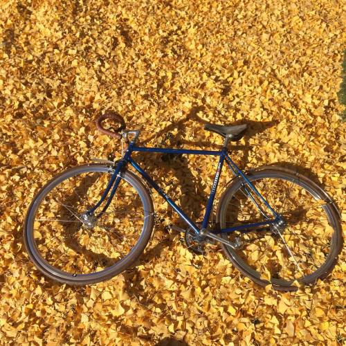 cyclismaude: Hurrah, the fixedgear is back on the road… And off the road obviously! What else? #autu