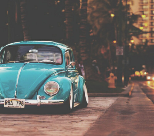 silly-luv:  ♡ find your best posts on my blog ♡