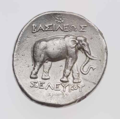 ancientanimalart:Tetradrachm of Kingdom of Syria with horned head of horse, struck under Seleukos IG