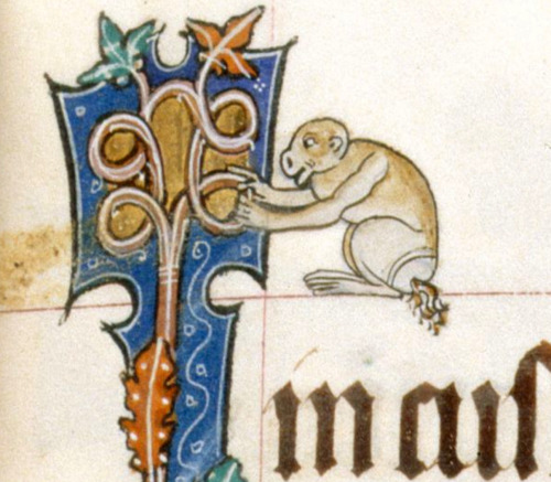 rocket monkey Gorleston Psalter, England 14th century. British Library, Add 49622, fol. 28r