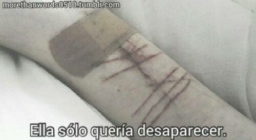 kittysuicide123:  Desaparecer & no sentir dolor jamás.