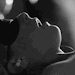 ablushingbabygirl:Deprive me of my senses and make me feel&hellip;