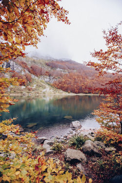 elenamorelli:  { autumn colors break my heart } 