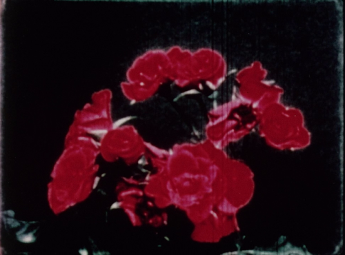 365filmsbyauroranocte:  Hybrid (Jack Chambers, 1967)