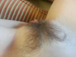 hairybushyc:  [ Hairy / Unshaved Women ]