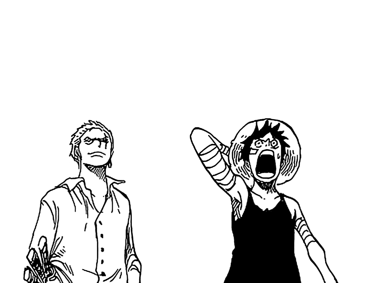 Zoro understands Luffy  One piece drawing, Manga anime one piece