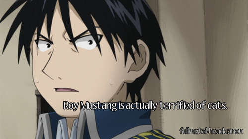 fullmetal-headcanon: Roy Mustang is actually terrified of cats.