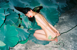 tru:   Ren Hang   