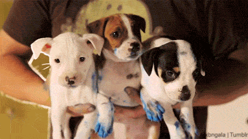 alxbngala:“Hi there, we are Frosty, Frank & Fionna. We are painting a thank you card for t