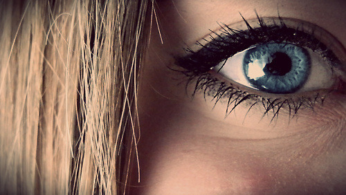 wonderland