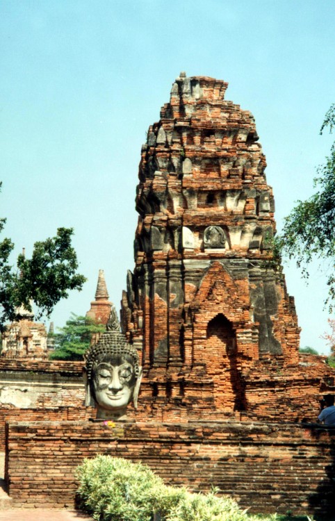 Temple Ruins and Buddha Head, Ayutthaya, Thailand, 2000.Ayutthaya was the ancient capital of the kin