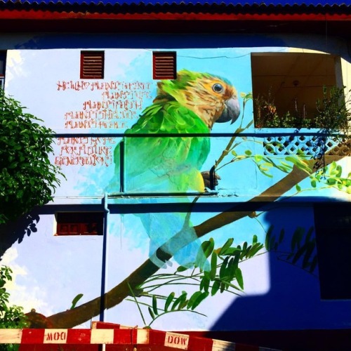 #urban #art #urbanart #sannicolas #aruba (at Sint Nicolaas, Aruba) www.instagram.com/p/Bp7og