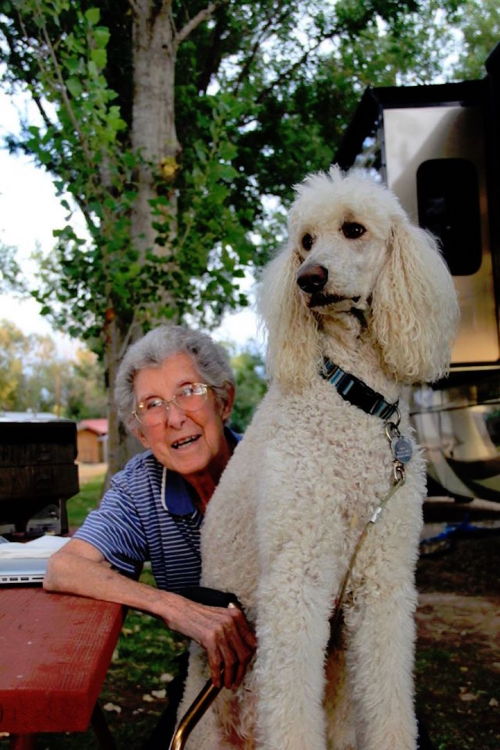 mymodernmet:  90-Year-Old Woman Decides to Go on Cross-Country Road Trip After Cancer Diagnosis