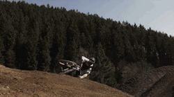 creature-on-two-wheels:  Mo-mo-mo-mondayyy!!! 