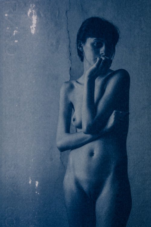 pierotoffano:  pierotoffano Arianna cyanotype 