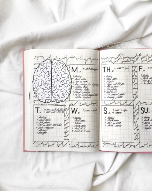 academiceve: 1.8.18 // Happy August!☕️Here’s an overview of my bullet journal spreads for July