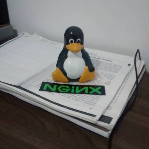 Trabajando con el nuevo asistente #Linux #tux my new #coworker (en Cidade São Bento Do Sul)