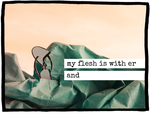 [image: my flesh is with er and]