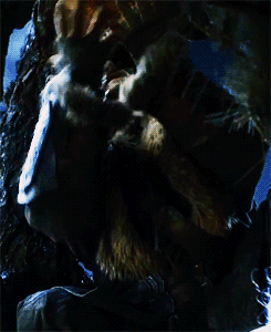 The Hobbit Gifs