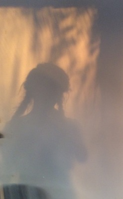 tranqility:  shadows of french braids + palm