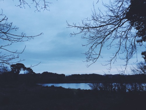 bulldogprince-deactivated201502:  Woods trekking. 