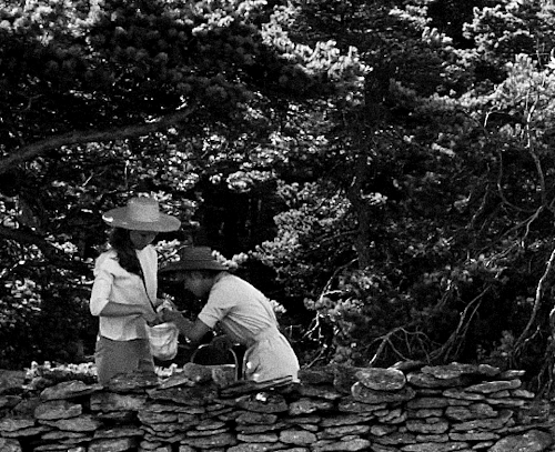 normasshearer:He’s calling again. I’ll find out what he wants from us. Out here, far away in our loneliness.LIV ULLMANN and BIBI ANDERSSON as Alma and Elizabet inPERSONA (1966) dir. Ingmar Bergman