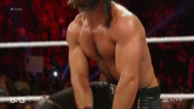 wrasslormonkey:  THE VIPER: Seth Rollins (by @WrasslorMonkey)