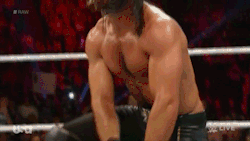 wrasslormonkey:  THE VIPER: Seth Rollins (by @WrasslorMonkey)