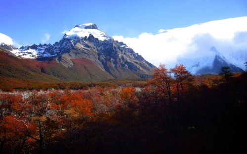 It was such a sunny day that day. The whole forest was saturated with a broad range of colors. Ive n