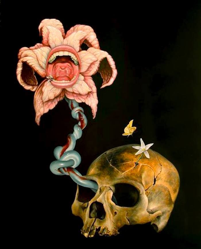 pixography:  Scott Scheidly ~ “Birth”