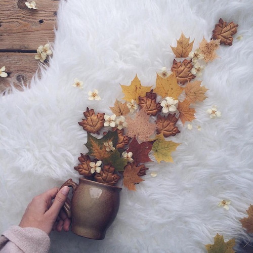 culturenlifestyle:Exquisite Photography Series That Depicts Dried Flowers and Tea SetsArtist, wife a