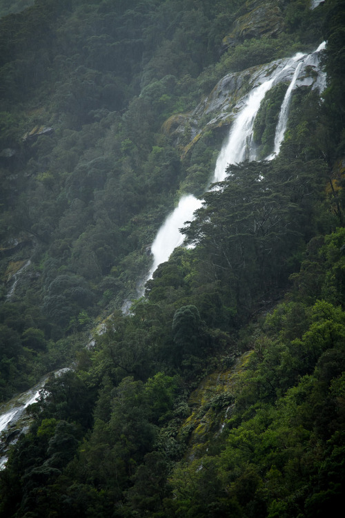 timidsouls:Milford Sound_3040.jpg (by eyemac23)