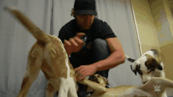 xwwe-empirex:  Dean &amp; Puppies = My life is complete. 