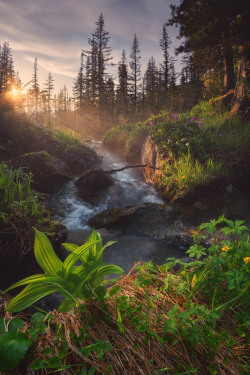 ponderation:  Taiga’s Eye by EGRA 