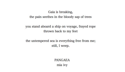 epistolaryhaze: Pangaea,  © mia i. morgalla @thewildhearts “an evening of remembranc