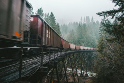 morgan-phillips: That PNW Bridge - Morgan