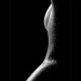 artsy-fartsy-purvert: