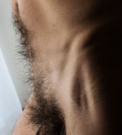 lovemalepubichair.tumblr.com post 130902876732