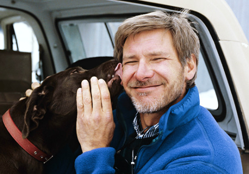 waititi:harrison ford with his dog betty in 1989 / ph. gamblin yann