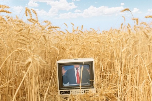 pastart:  The New American West Alex Currie (2017) 