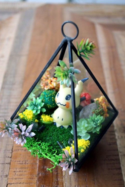 Pokemon Terrariums made by KawaiiBaka