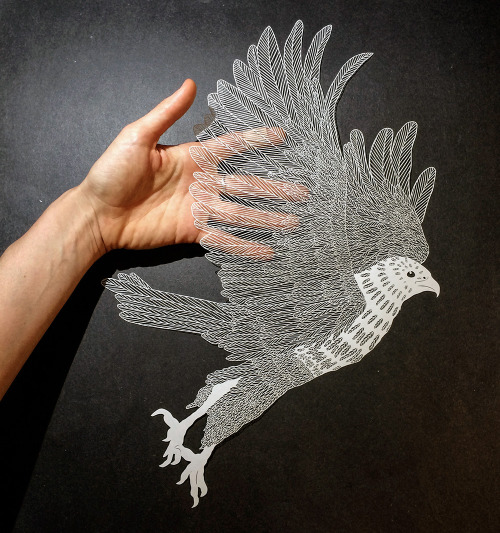 culturenlifestyle:Stunning Delicate Cut Paper Illustrations by Maude White New York-based paper artist Maude White painstaking meticulous paper depictions of nature and people continue to impress us with her storytelling and technical abilities. Each